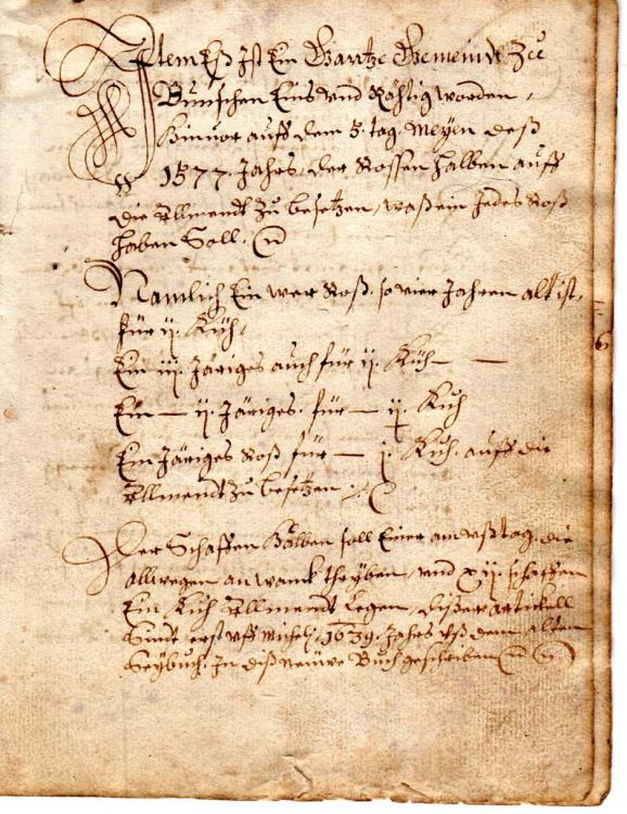 das_erhaltene_dokument_stammt_aus_dem_jahr_1577