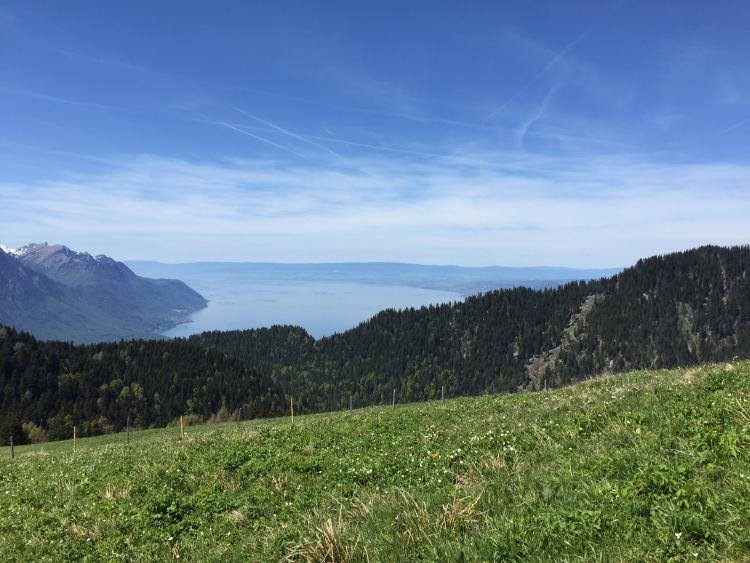 image_3