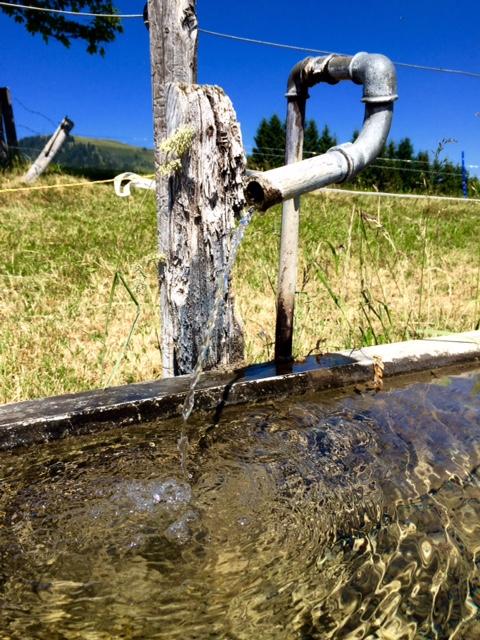 wasser2