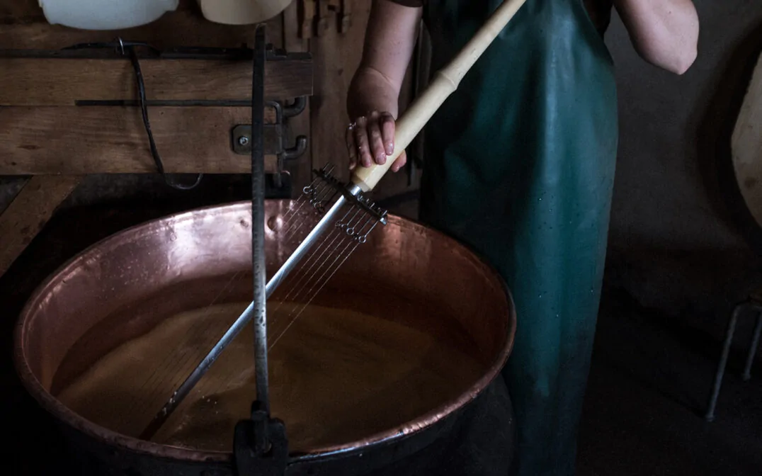Lab (ein Enzym aus dem Kälbermagen) sorgt dafür, dass die Milch gerinnt. Kulturen (Milchsäurebakterien) sorgen für den Milchzuckerabbau und die Reifung.