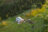 LB_2025-08-09_LNB08649a